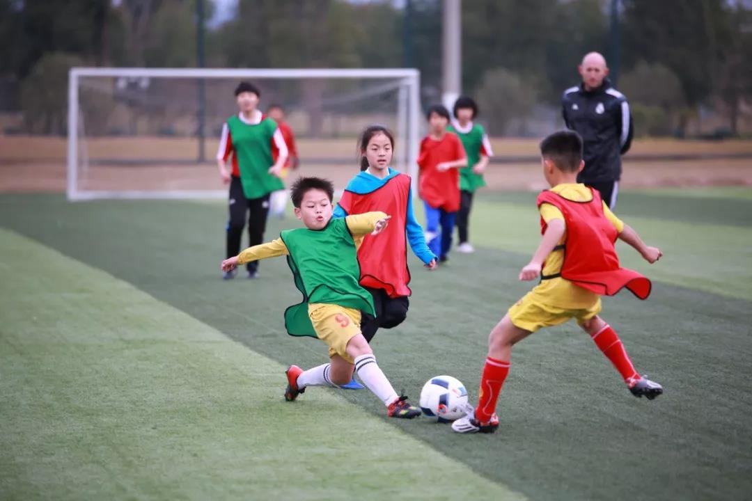 微信图片_20190304162136.jpg