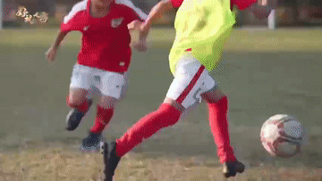 03.gif